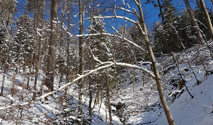 Winter Survival Camp