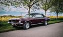 Ford Mustang 67
