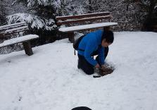 Winter Survival Camp